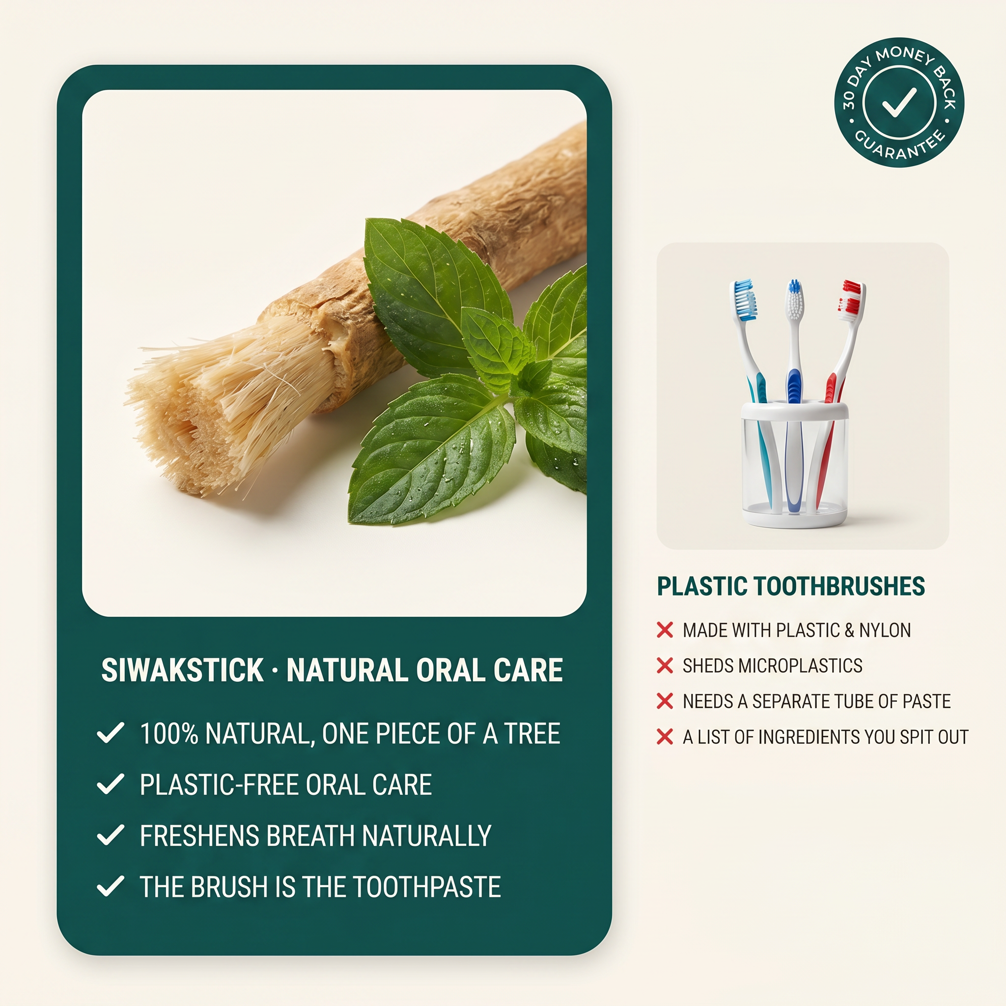 SiwakStick versus a plastic toothbrush: natural, plastic-free, no tube